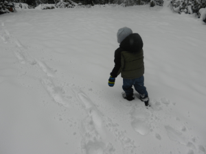 Tromping around in the snow